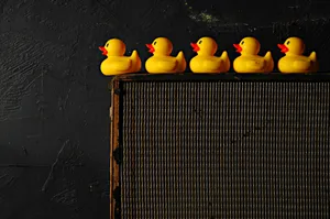 Rubber Ducksina Rowon Dark Background.jpg Wallpaper