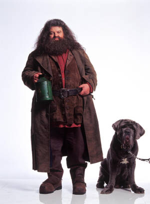 Rubeus Hagrid And Fang Wallpaper