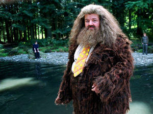 Rubeus Hagrid Character Wallpaper