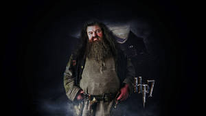 Rubeus Hagrid Hp 7 Wallpaper