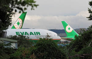 Rudder Eva Air Wallpaper