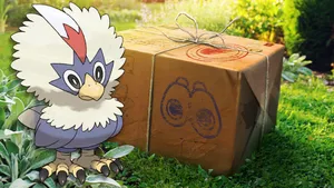 Rufflet Beside A Package Box Wallpaper