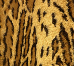 Rug On A Cute Leopard Print Wallpaper