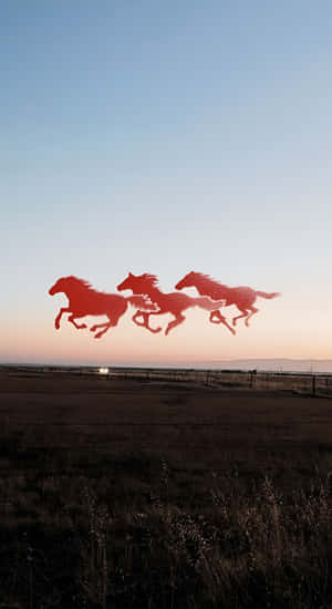Running Horses At Sunset Wallpaper