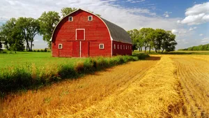 Rustic Barn Amidst Scenic Fall Foliage Wallpaper
