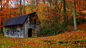 Rustic Barn In Autumn Scenery Wallpaper