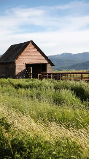 Rustic Barn On Country Farm Wallpaper