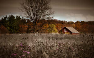 Rustic Barn Surrounded By Beautiful Autumn Foliage Wallpaper