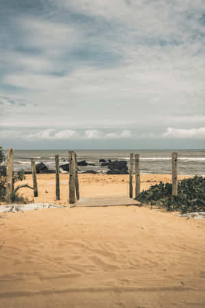 Rustic Beach Pathway Vintage Aesthetic.jpg Wallpaper