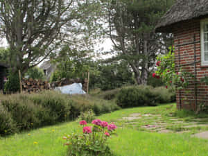 Rustic Cottage Garden Scene Wallpaper