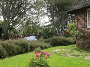 Rustic Cottage Garden Scene Wallpaper