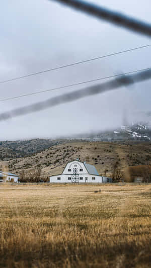 Rustic Country Farm Barn Wallpaper