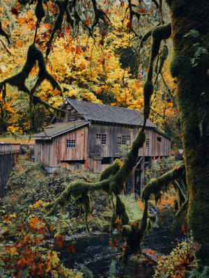 Rustic Fall House In The Forest Wallpaper