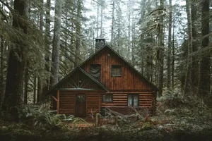 Rustic Forest Log Cabin Wallpaper