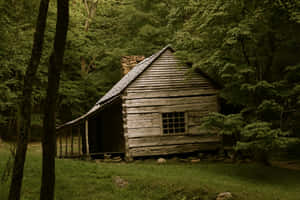 Rustic Forest Log Cabin Wallpaper