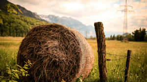 Rustic Hay Bale Country Wallpaper