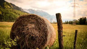 Rustic Hay Bale Country Wallpaper