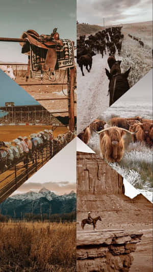 Rustic_ Horse_ Collage_ Aesthetic.jpg Wallpaper