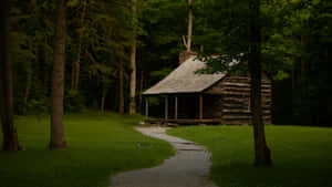 Rustic Log Cabinin Forest Wallpaper