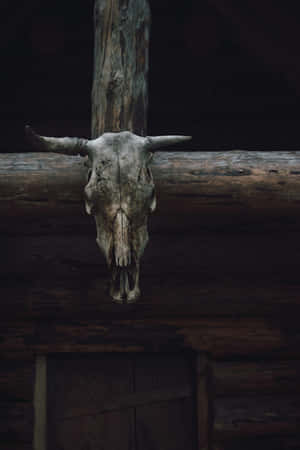 Rustic Longhorn Skull Decor.jpg Wallpaper