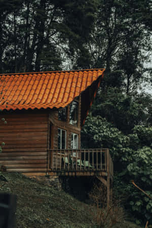 Rustic Wooden Cabinin Forest Wallpaper