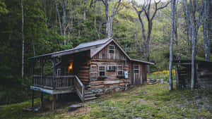 Rustic Wooden Cabinin Forest Wallpaper