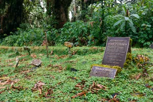 Rwanda Dian Fossey Grave Wallpaper