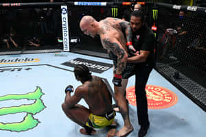 Ryan Spann Sitting Wallpaper