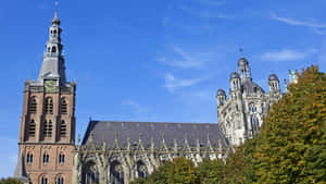 S Hertogenbosch Cathedral Architecture Wallpaper