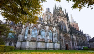 S Hertogenbosch Cathedral Exterior Wallpaper