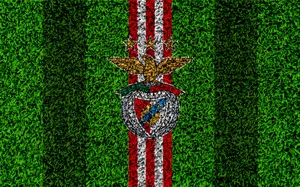 S L Benfica Logoon Grass Texture Wallpaper