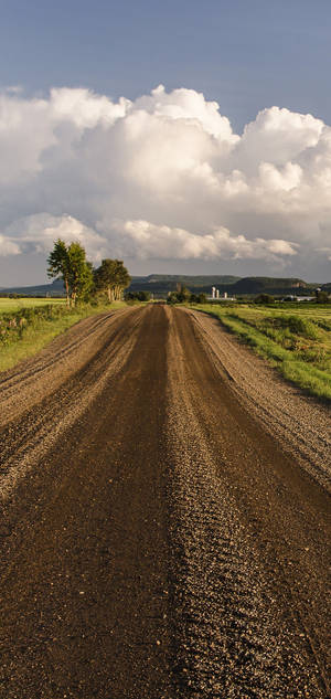 S10 Road Green Field Wallpaper