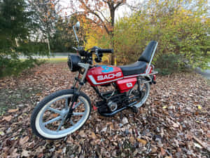 Sachs Motorcycle Parked Outdoors Wallpaper