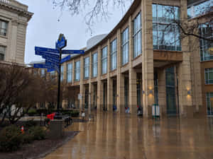 Sacramento City Hall Wet Floor Wallpaper