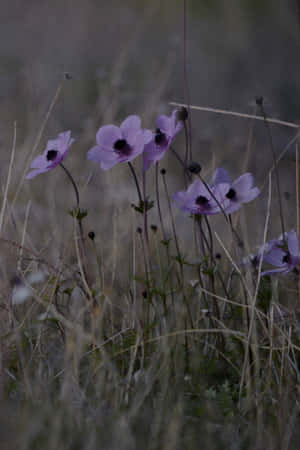 Sad Vibes Purple Flowers Wallpaper