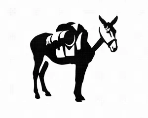 Saddled Mule Graphic Wallpaper
