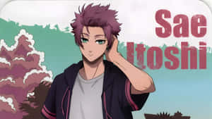 Sae Itoshi Character Profile Wallpaper