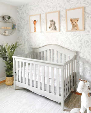 Safari Themed Nursery Room Wallpaper