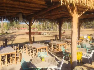 Safari Themed Restaurant View Tilburg Wallpaper