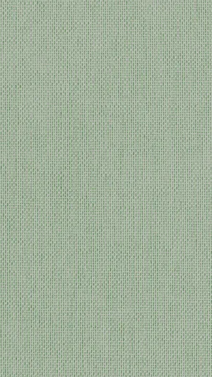 Sage Aesthetic With Fabric Texture Wallpaper