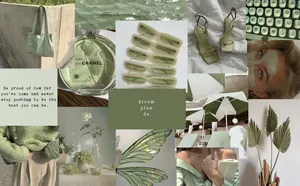 Sage Green Aesthetic Collage Wallpaper