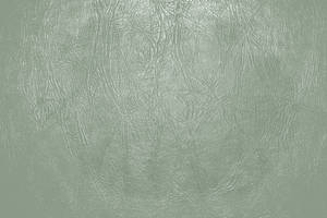 Sage Green Aesthetic Leather Wallpaper