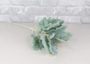 Sage Green Aesthetic Stem Wallpaper