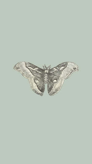 Sage Green Backgroundwith Moth Illustration Wallpaper