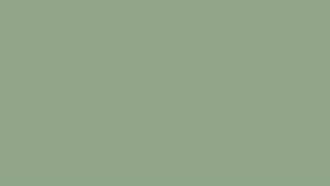 Sage Green Blank Background Wallpaper