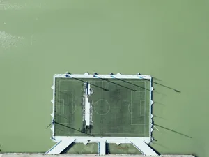 Sage Green Court Wallpaper