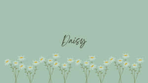 Sage Green Daisy Floral Aesthetic Wallpaper