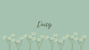 Sage Green Daisy Floral Aesthetic Wallpaper