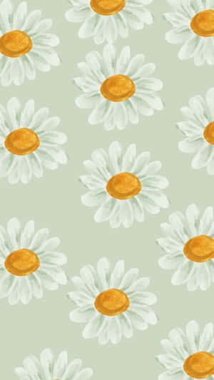 Sage Green Daisy Pattern Wallpaper