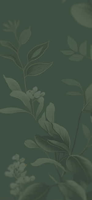 Sage Green Floral Aesthetic Wallpaper Wallpaper